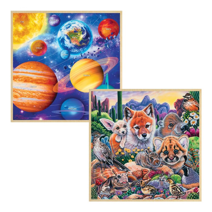 Primary Image of Solar System & Desert Friends 48-Piece Fun Facts Puzzles