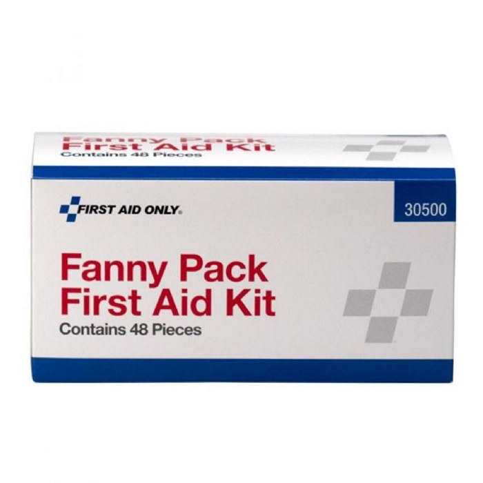 Alternate Image #1 of First Aid Fanny Pack - 48 Pieces