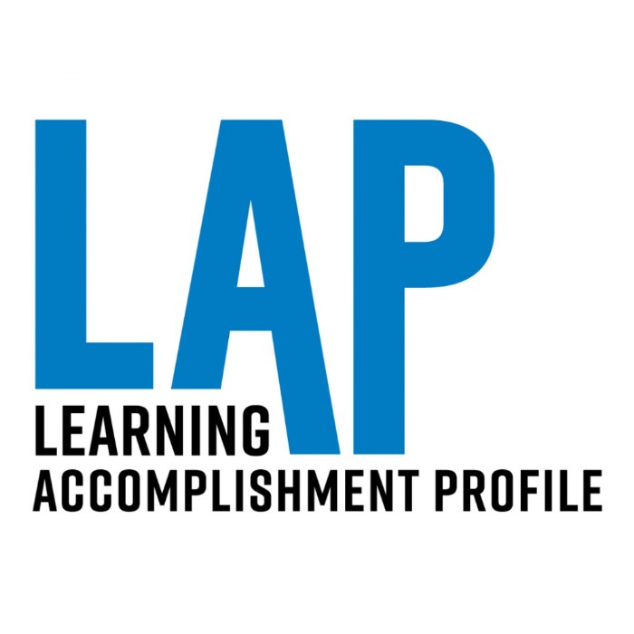 Primary Image of LAP Assessment Overview