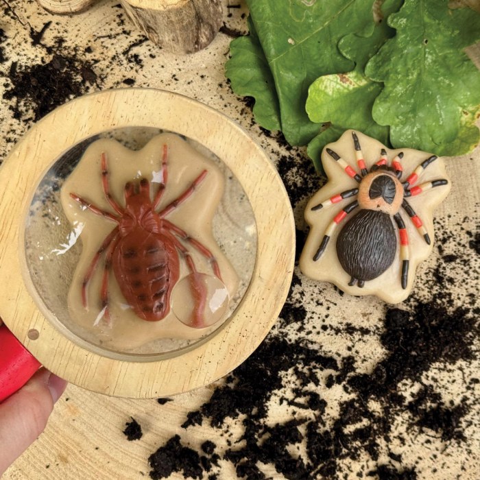 Alternate Image #1 of Sensory Play Stones: Bugs - 12 Pieces