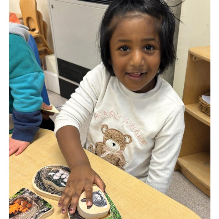 Alternate Image #1 of Who's Hiding? Woodland Animal Puzzles - Set of 4