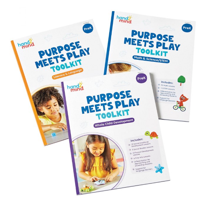 Alternate Image #1 of Purpose Meets Play Toolkit