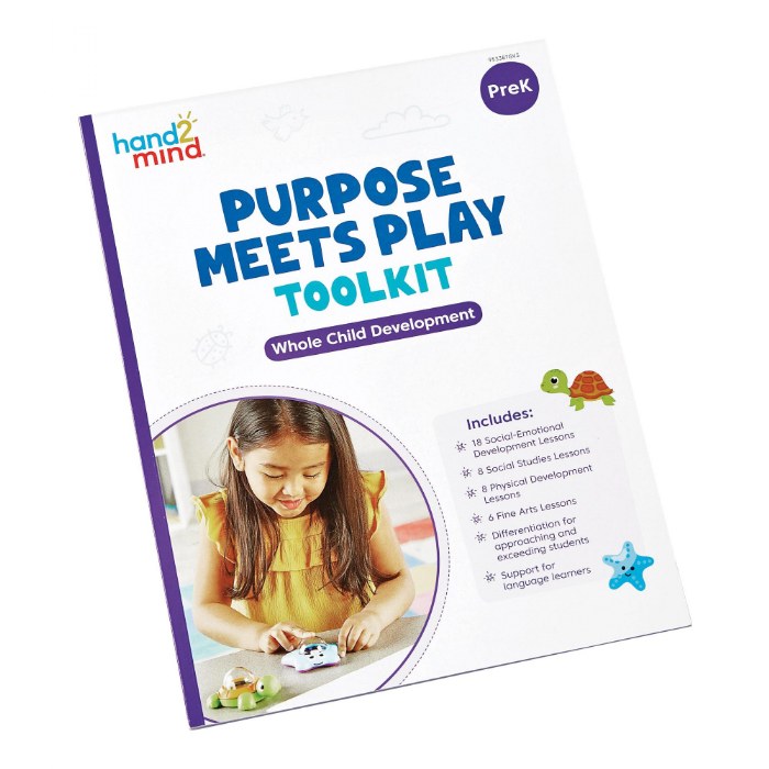 Alternate Image #1 of Purpose Meets Play Toolkit