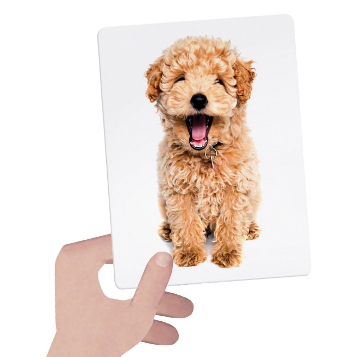 Alternate Image #1 of Montessori Tactile Flash Cards - 24 Cards