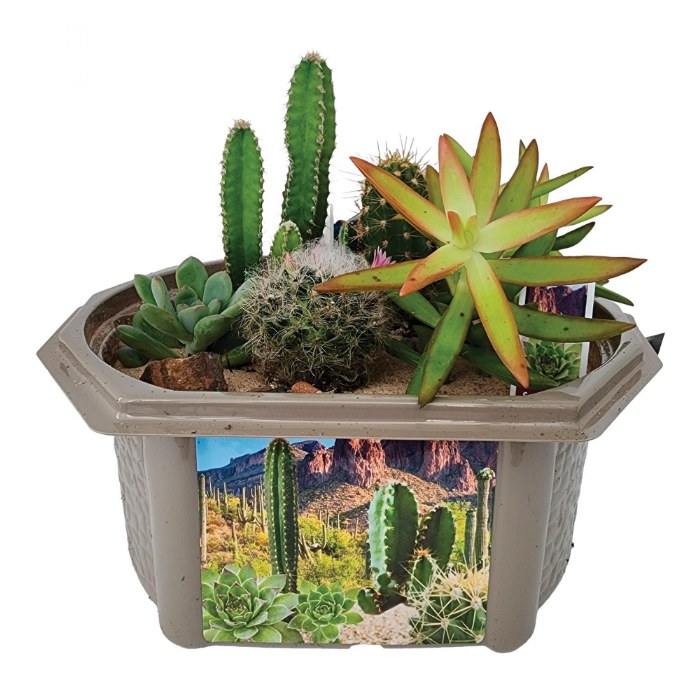 Alternate Image #1 of Desert Dome