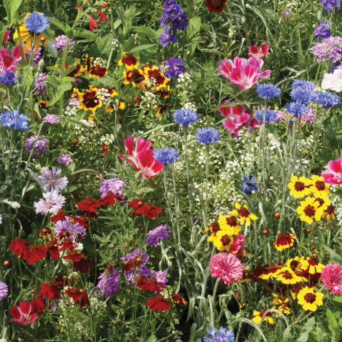 Alternate Image #1 of Seed Stones - Bird & Butterfly Mix