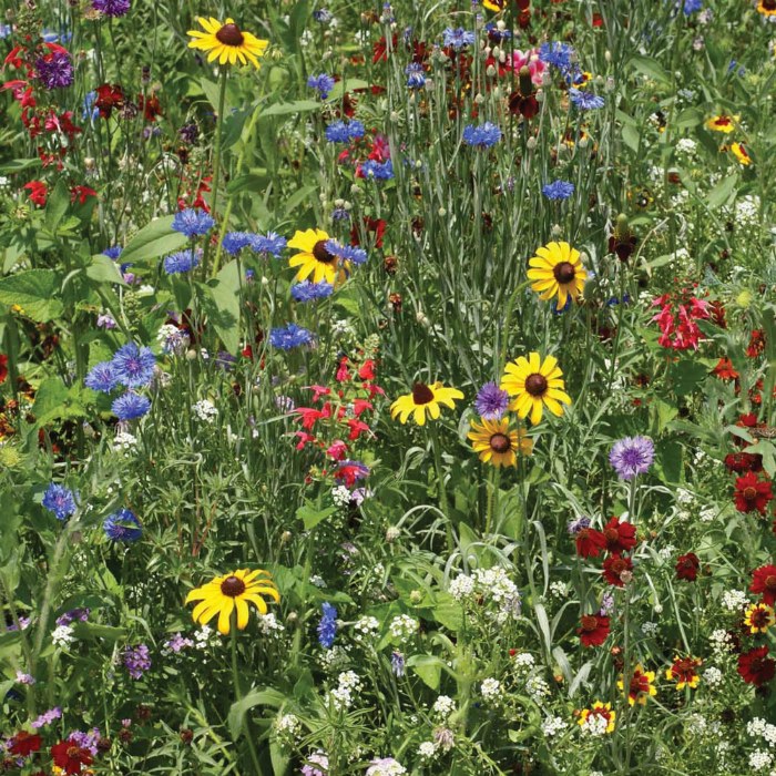 Alternate Image #1 of Seed Stones - Bird & Butterfly Mix