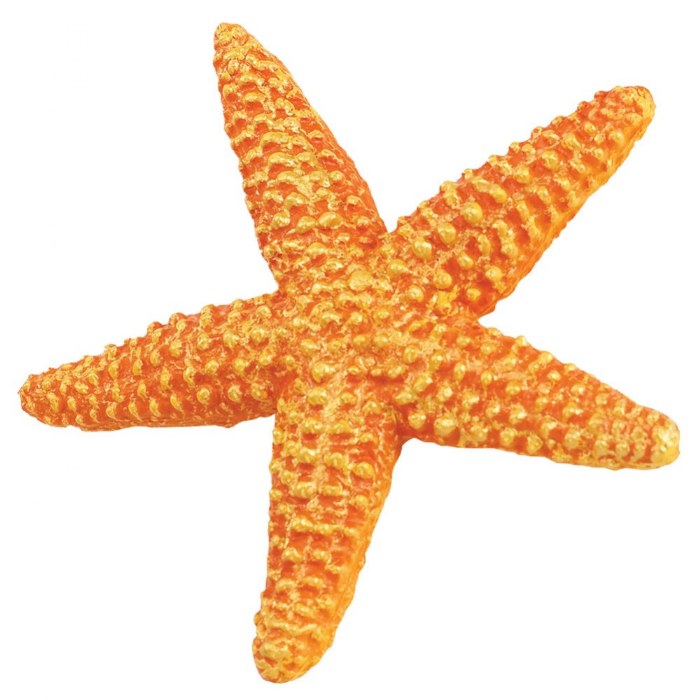 Alternate Image #1 of Animals of the Sea - 11 Pieces