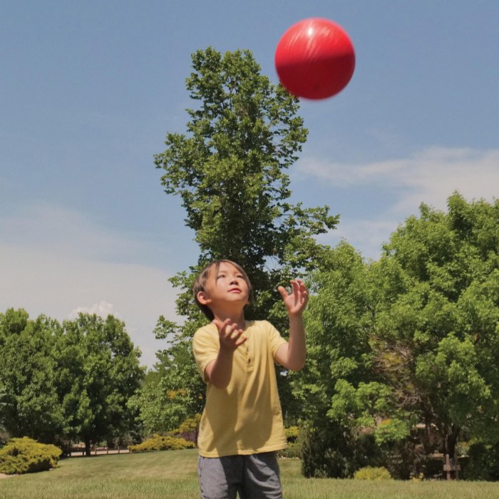 Alternate Image #1 of Kickball Kit