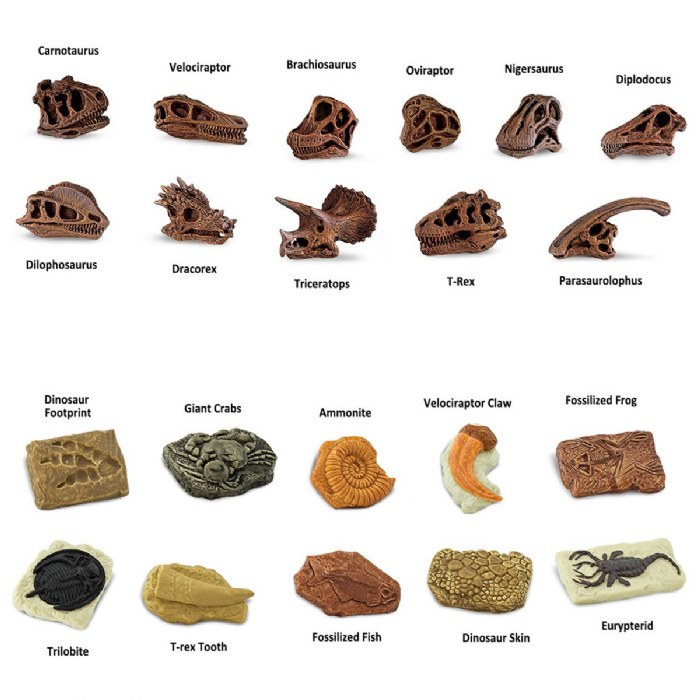 Alternate Image #1 of Prehistoric Fossil Dig