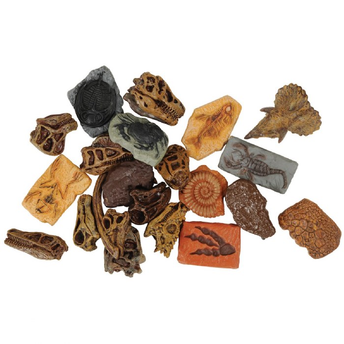 Alternate Image #1 of Prehistoric Fossil Dig