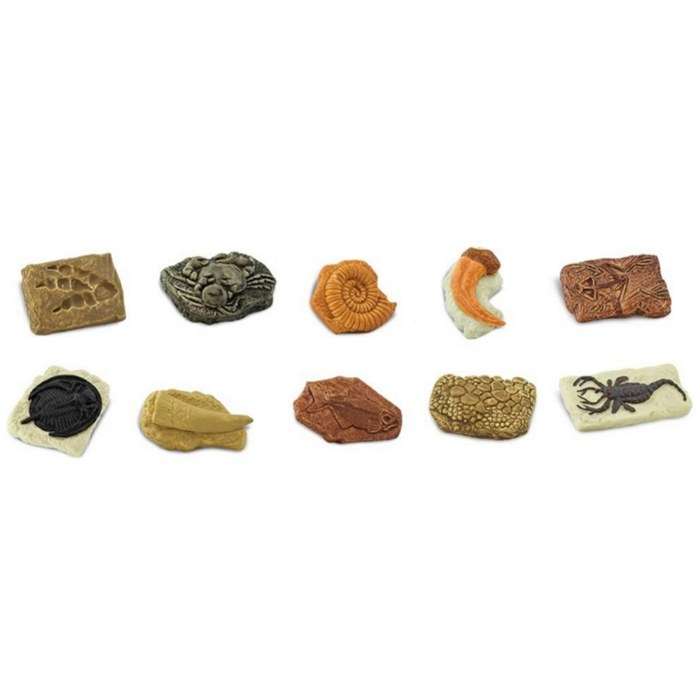 Primary Image of Ancient Fossils Minis - 10 Pieces