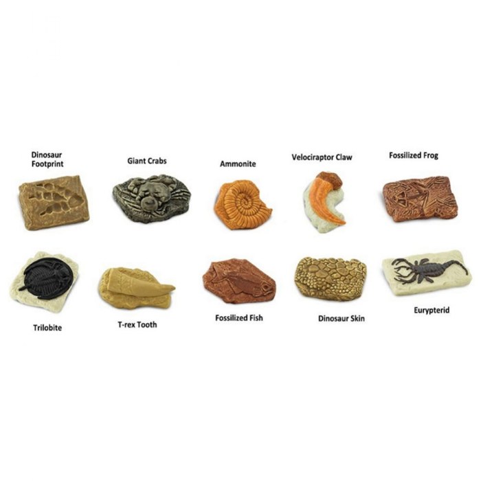 Alternate Image #1 of Ancient Fossils Minis - 10 Pieces