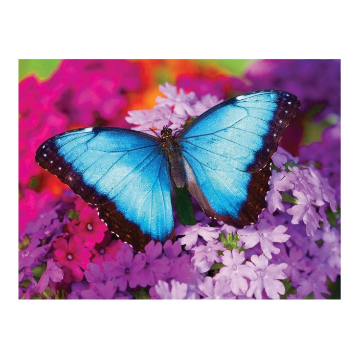 Alternate Image #1 of Iridescence Butterfly Jigsaw Puzzle - 550 Pieces