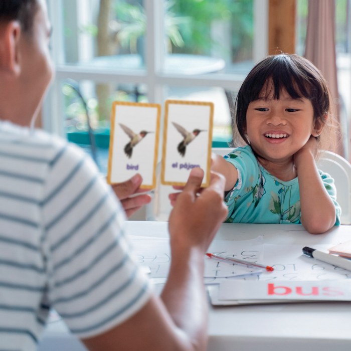 Alternate Image #1 of Language and Literacy Skills Kit - Spanish Supplement