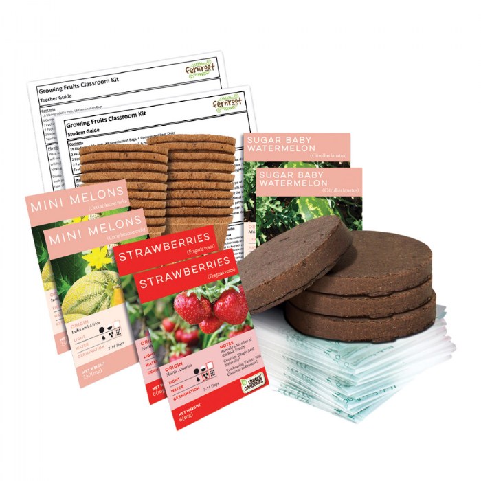 Primary Image of Growing Fruits Classroom Kit