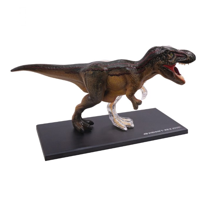 Alternate Image #1 of T-Rex Anatomy Model - 36 Detachable Parts