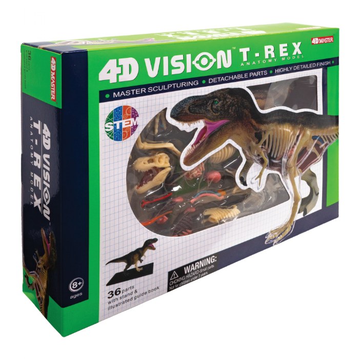 Alternate Image #1 of T-Rex Anatomy Model - 36 Detachable Parts