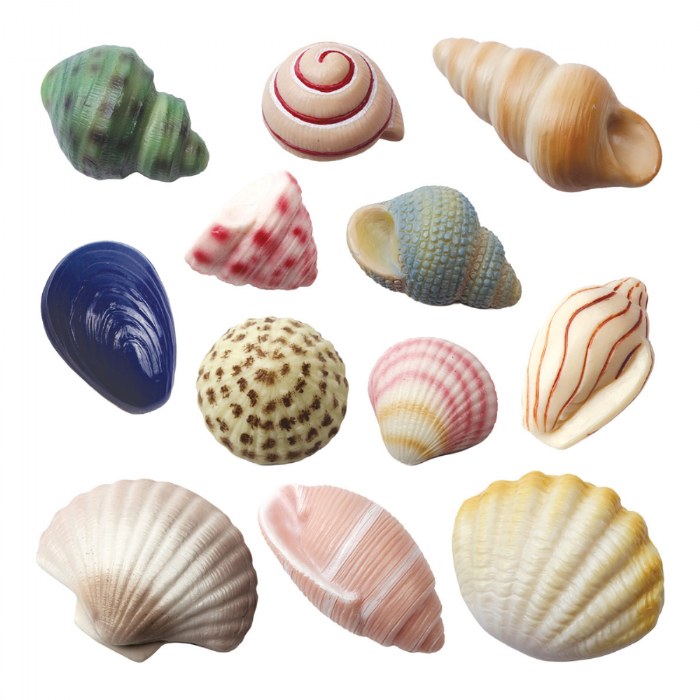 Primary Image of Sensory Play Stones: Seashells - 12 Pieces