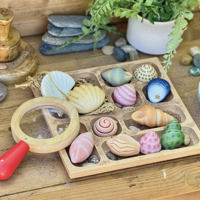 Alternate Image #1 of Sensory Play Stones: Seashells - 12 Pieces