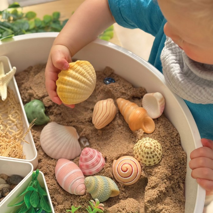 Alternate Image #1 of Sensory Play Stones: Seashells - 12 Pieces