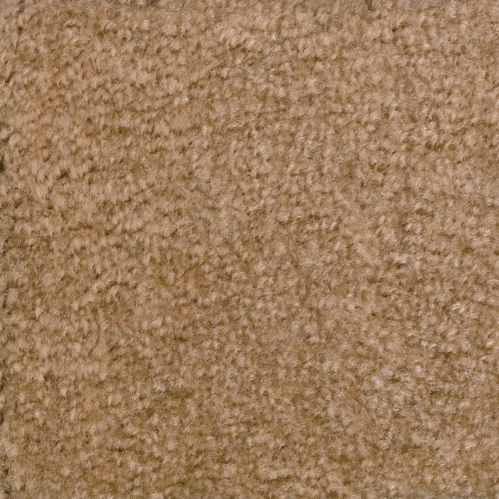 Primary Image of Solid Color Carpet - Tan - 6' Round
