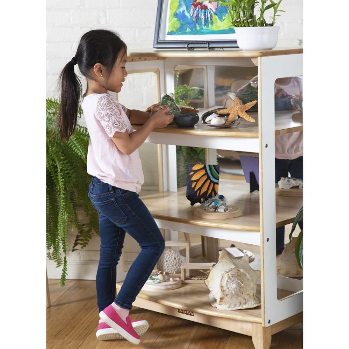 Alternate Image #1 of Sense of Place Curio Storage