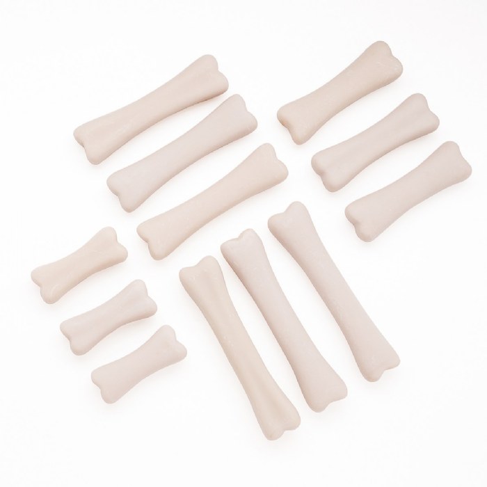 Alternate Image #1 of Dinosaur Bones Discovery Set - 12 Pieces