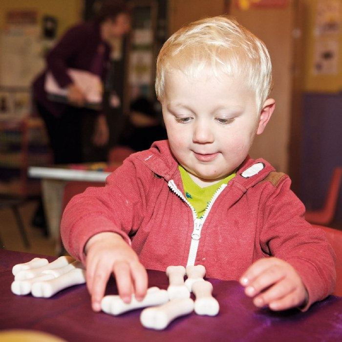 Alternate Image #1 of Dinosaur Bones Discovery Set - 12 Pieces