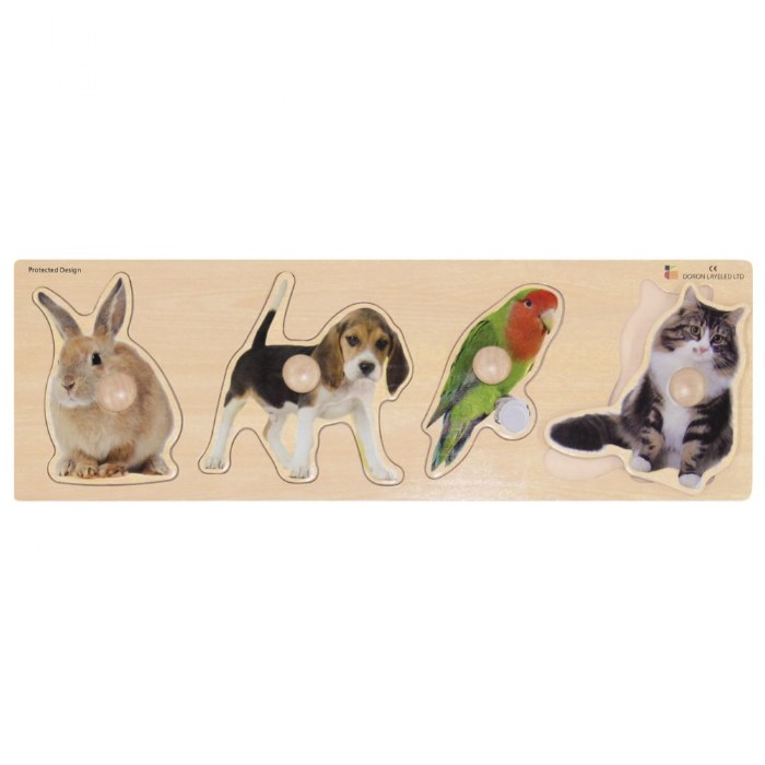 Primary Image of Large Knob Pets Puzzle - Rabbit, Dog, Parrot, Cat