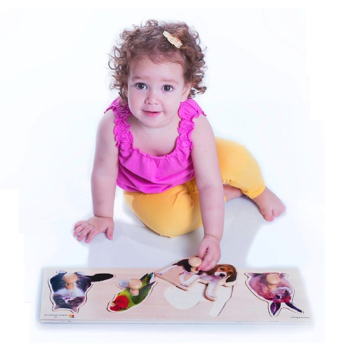 Alternate Image #1 of Large Knob Pets Puzzle - Rabbit, Dog, Parrot, Cat