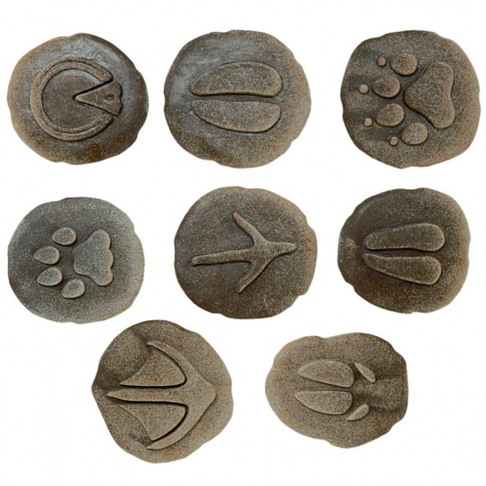 Primary Image of Farmyard Footprints&trade; Stones - Set of 8