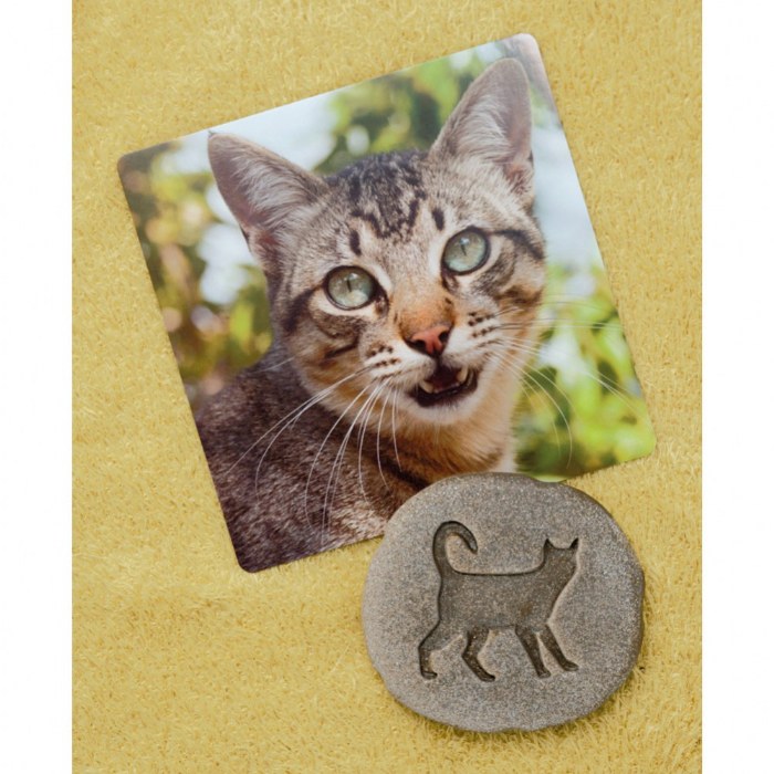 Alternate Image #1 of Farmyard Footprints&trade; Stones - Set of 8
