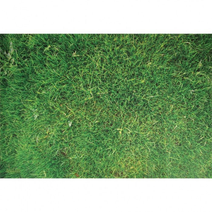 Primary Image of STEM Play Mat - Vibrant Real Image Grass Mat