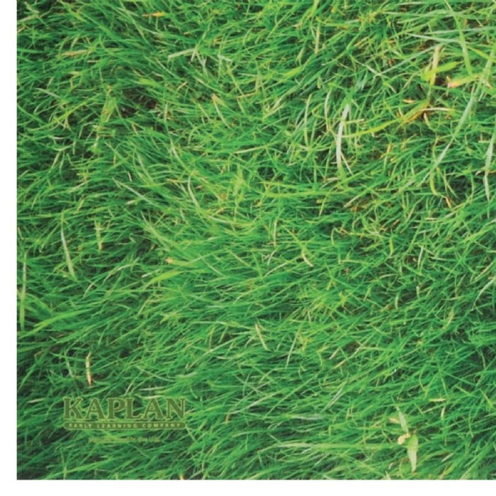 Alternate Image #1 of STEM Play Mat - Vibrant Real Image Grass Mat