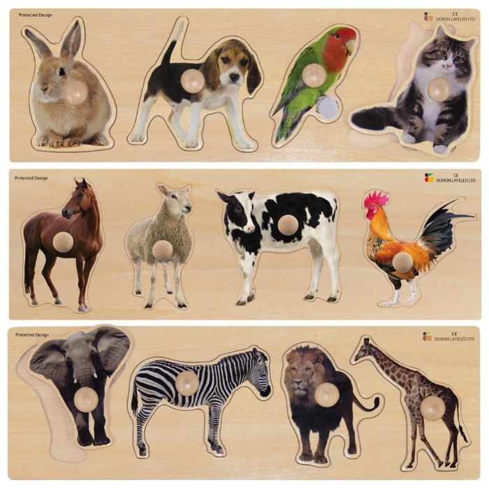 Primary Image of Large Knob Animal Puzzles - Pets, Farm Animals and Wild Animals