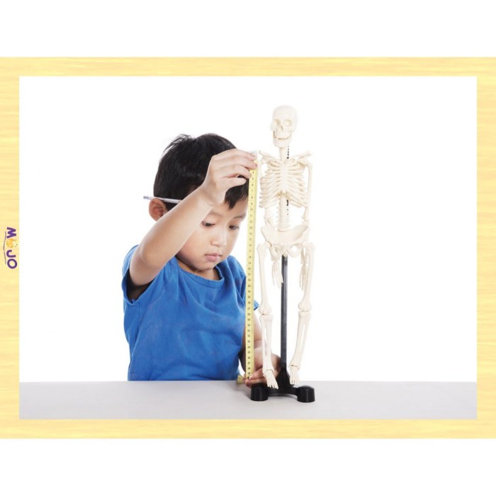 Alternate Image #1 of STEAM Wooden Puzzle Set - Set of 7