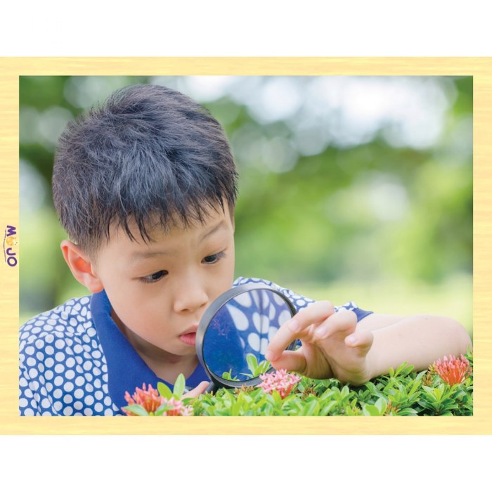 Alternate Image #1 of STEAM Wooden Puzzle Set - Set of 7