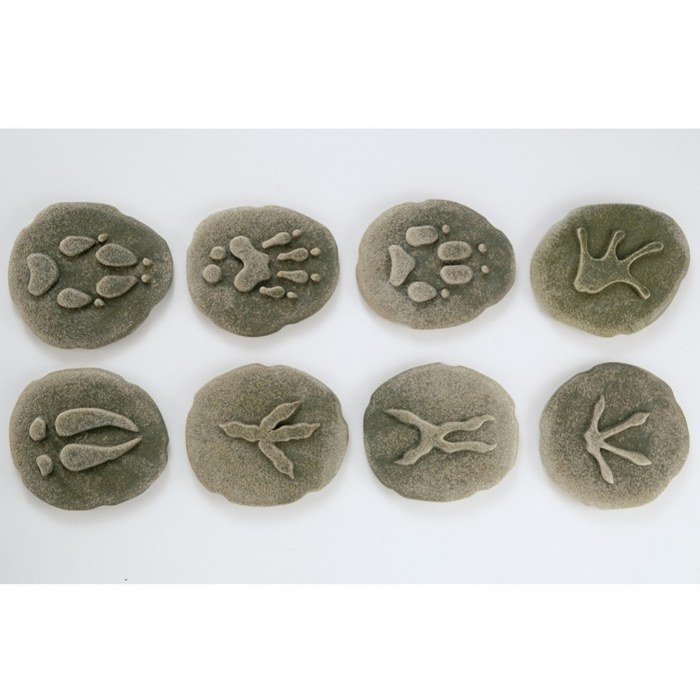 Alternate Image #1 of Woodland Footprints&trade; - 8 Pieces