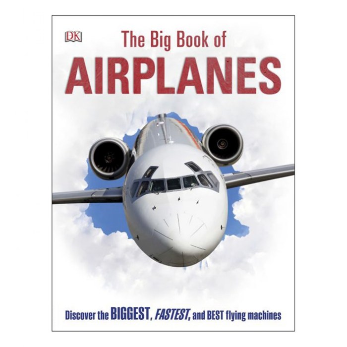 Primary Image of The Big Book of Airplanes - Hardcover
