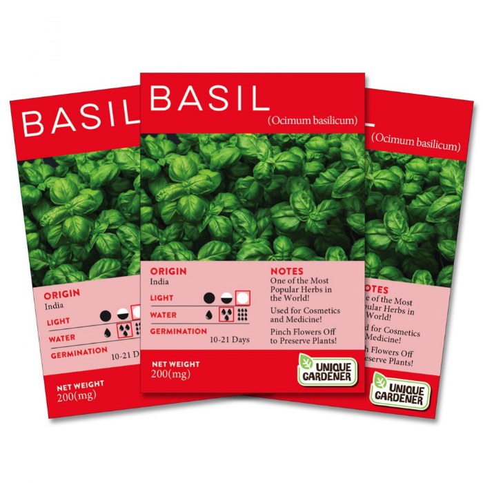 Primary Image of Sweet Basil Seeds 3-Pack