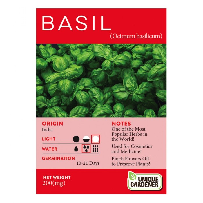 Alternate Image #1 of Sweet Basil Seeds 3-Pack