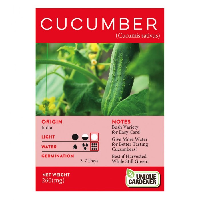 Alternate Image #1 of Slicing Cucumber Seeds 3-Pack