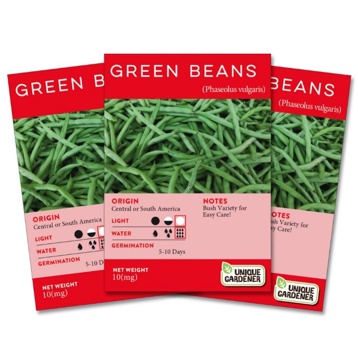 Primary Image of Bush Green Beans Seeds 3-Pack