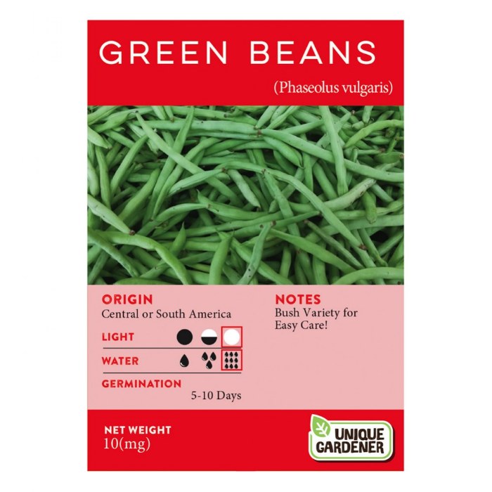 Alternate Image #1 of Bush Green Beans Seeds 3-Pack