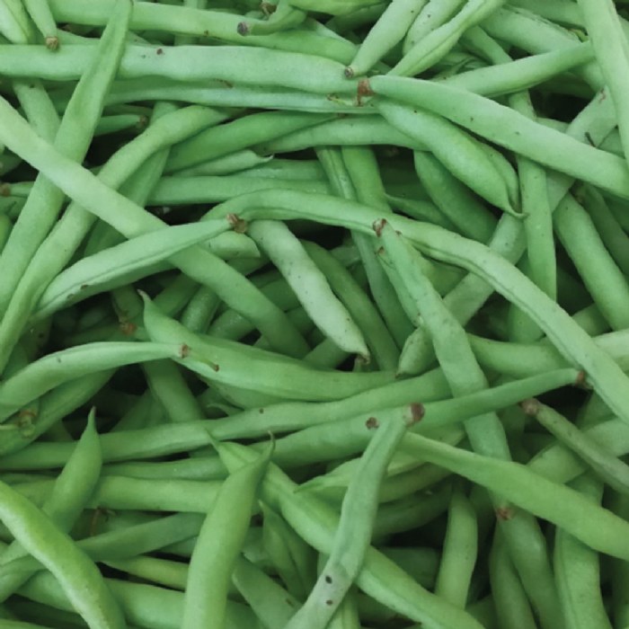 Alternate Image #1 of Bush Green Beans Seeds 3-Pack