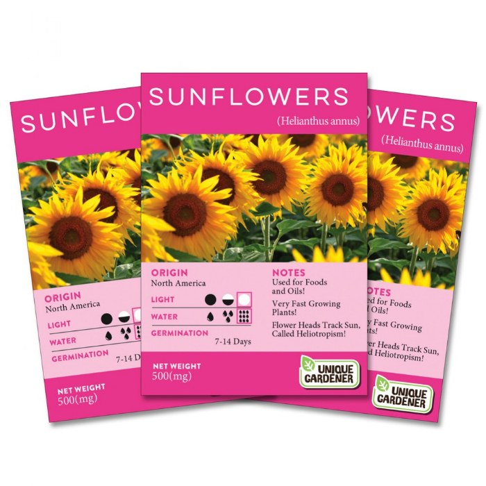 Primary Image of Dwarf Sunflower Seeds 3-Pack