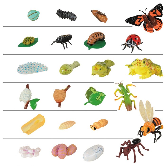 Primary Image of Life Cycle Figurines - 24 Pieces