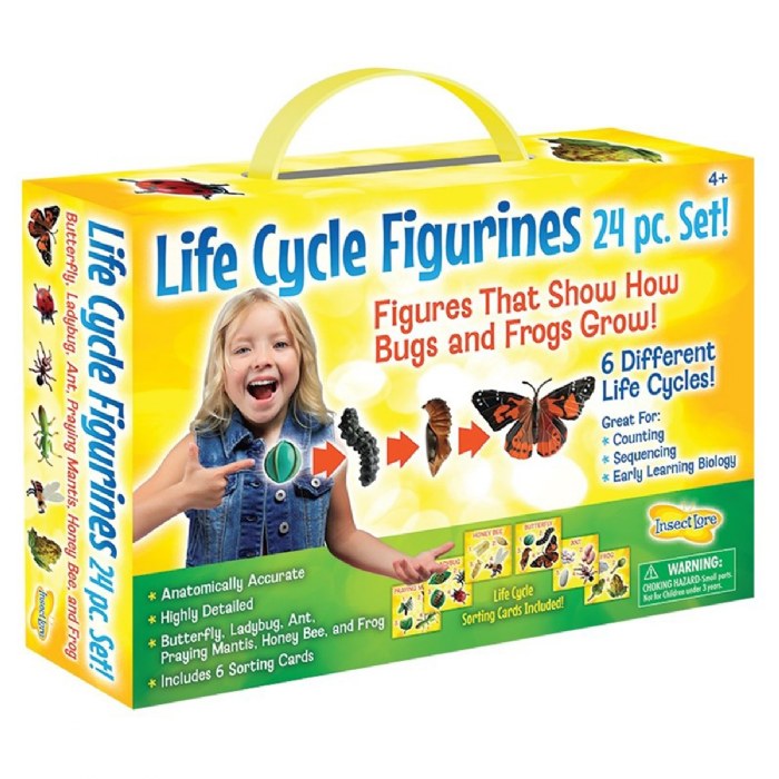Alternate Image #1 of Life Cycle Figurines - 24 Pieces