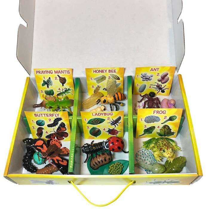 Alternate Image #1 of Life Cycle Figurines - 24 Pieces